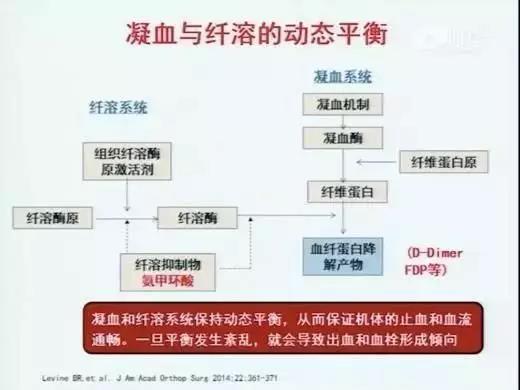 水蛭素，新型冠狀病毒。肺炎