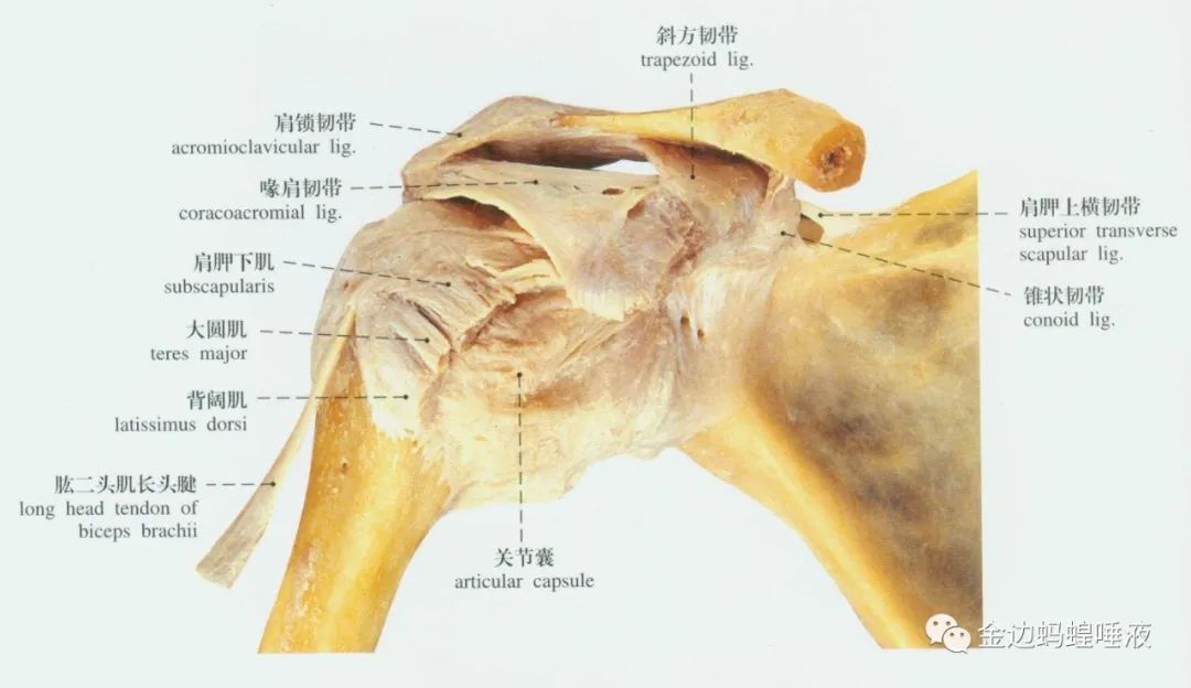 真實案例 | 腕關(guān)節(jié)囊積液，發(fā)炎腫脹，疼痛難忍，真就對它沒辦法嗎？